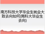 南方科技大学毕业生就业大致去向如何(南科大毕业生去向)
