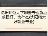 沈阳师范大学哪些专业就业前景好，为什么(沈阳师大好就业专业)