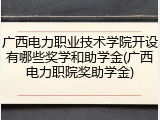 广西电力职业技术学院开设有哪些奖学和助学金(广西电力职院奖助学金)