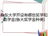 鲁东大学开设有哪些奖学和助学金(鲁大奖学金种类)