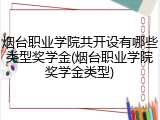 烟台职业学院共开设有哪些类型奖学金(烟台职业学院奖学金类型)