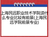 上海民远职业技术学院读什么专业比较有前景(上海民远学院前景专业)