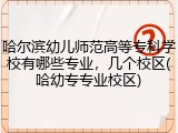 哈尔滨幼儿师范高等专科学校有哪些专业，几个校区(哈幼专专业校区)