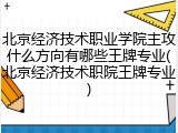 北京经济技术职业学院主攻什么方向有哪些王牌专业(北京经济技术职院王牌专业)