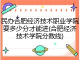 民办合肥经济技术职业学院要多少分才能进(合肥经济技术学院分数线)