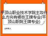 平顶山职业技术学院主攻什么方向有哪些王牌专业(平顶山职院王牌专业)