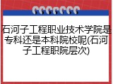 石河子工程职业技术学院是专科还是本科院校呢(石河子工程职院层次)