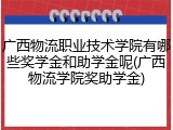 广西物流职业技术学院有哪些奖学金和助学金呢(广西物流学院奖助学金)