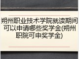 朔州职业技术学院就读期间可以申请哪些奖学金(朔州职院可申奖学金)