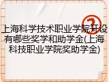 上海科学技术职业学院开设有哪些奖学和助学金(上海科技职业学院奖助学金)