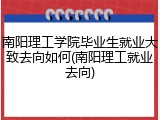 南阳理工学院毕业生就业大致去向如何(南阳理工就业去向)