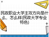 民政职业大学主攻方向是什么，怎么样(民政大学专业特色)