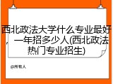 西北政法大学什么专业最好，一年招多少人(西北政法热门专业招生)