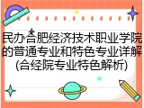 民办合肥经济技术职业学院的普通专业和特色专业详解(合经院专业特色解析)