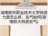 湖南软件职业技术大学师资力量怎么样，名气如何(湖南软大师资名气)
