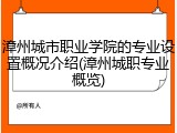 漳州城市职业学院的专业设置概况介绍(漳州城职专业概览)