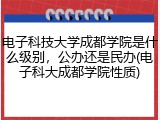 电子科技大学成都学院是什么级别，公办还是民办(电子科大成都学院性质)