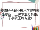 安徽扬子职业技术学院有哪些专业，王牌专业分析(扬子学院王牌专业)