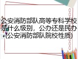 公安消防部队高等专科学校是什么级别，公办还是民办(公安消防部队院校性质)