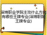 淄博职业学院主攻什么方向有哪些王牌专业(淄博职院王牌专业)