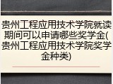 贵州工程应用技术学院就读期间可以申请哪些奖学金(贵州工程应用技术学院奖学金种类)
