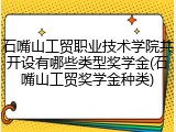 石嘴山工贸职业技术学院共开设有哪些类型奖学金(石嘴山工贸奖学金种类)