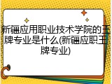 新疆应用职业技术学院的王牌专业是什么(新疆应职王牌专业)