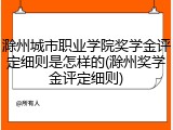 滁州城市职业学院奖学金评定细则是怎样的(滁州奖学金评定细则)