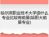 哈尔滨职业技术大学读什么专业比较有前景(哈职大前景专业)