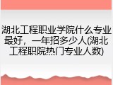 湖北工程职业学院什么专业最好，一年招多少人(湖北工程职院热门专业人数)