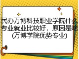 民办万博科技职业学院什么专业就业比较好，原因是啥(万博学院优势专业)