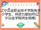 辽宁冶金职业技术学院有多少学生，师资力量如何(辽宁冶金学院师生规模)
