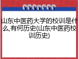 山东中医药大学的校训是什么,有何历史(山东中医药校训历史)