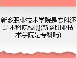 新乡职业技术学院是专科还是本科院校呢(新乡职业技术学院是专科吗)