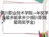 铜川职业技术学院一年奖学金最多能拿多少(铜川职院最高奖学金)