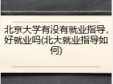 北京大学有没有就业指导，好就业吗(北大就业指导如何)