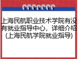 上海民航职业技术学院有没有就业指导中心，详细介绍(上海民航学院就业指导)