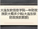 大连东软信息学院一年财政拨款大概多少钱(大连东软财政拨款数额)