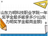 山东力明科技职业学院一年奖学金最多能拿多少(山东力明奖学金最高金额)