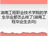 湖南工程职业技术学院的学生毕业都怎么样了(湖南工程毕业生去向)