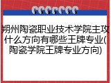 朔州陶瓷职业技术学院主攻什么方向有哪些王牌专业(陶瓷学院王牌专业方向)