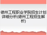 德州工程职业学院招生计划详细分析(德州工程招生解析)