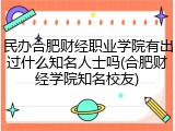 民办合肥财经职业学院有出过什么知名人士吗(合肥财经学院知名校友)