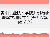 贵阳职业技术学院开设有哪些奖学和助学金(贵职院奖助学金)