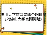 佛山大学官网是哪个网址多少(佛山大学官网网址)