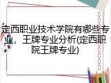 定西职业技术学院有哪些专业，王牌专业分析(定西职院王牌专业)