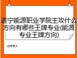 遂宁能源职业学院主攻什么方向有哪些王牌专业(能源专业王牌方向)