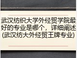 武汉纺织大学外经贸学院最好的专业是哪个，详细阐述(武汉纺大外经贸王牌专业)