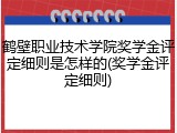 鹤壁职业技术学院奖学金评定细则是怎样的(奖学金评定细则)