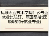 抚顺职业技术学院什么专业就业比较好，原因是啥(抚顺职院好就业专业)
